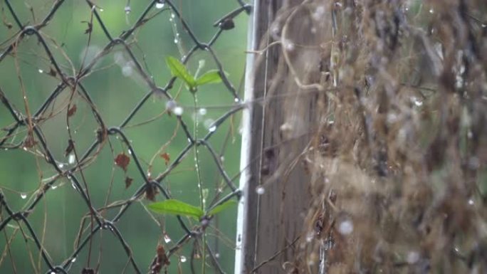 雨中铁链围栏