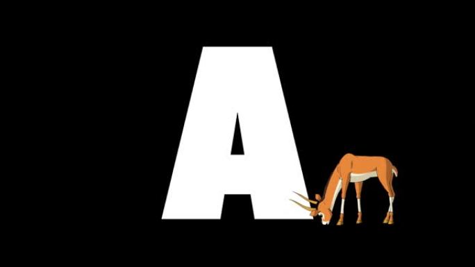 字母A和羚羊在前景