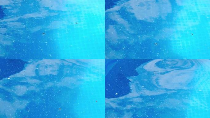 游泳池里的脏水。蓝色水面上的杂物，垃圾和昆虫
