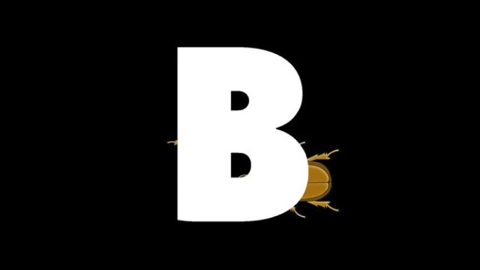 背景上的字母B和甲虫