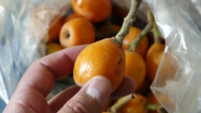 夏季水果，马耳他李子水果，橙色多汁水果