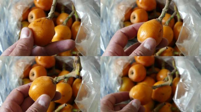 夏季水果，马耳他李子水果，橙色多汁水果