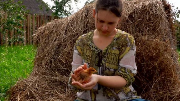 小鸡坐在农家女孩的手上