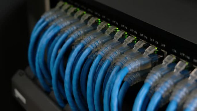 用于高速网络的网络千兆交换机和UTP Cat6网络电缆。闪光灯。