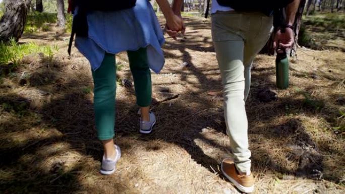 夫妇牵着手在森林里散步