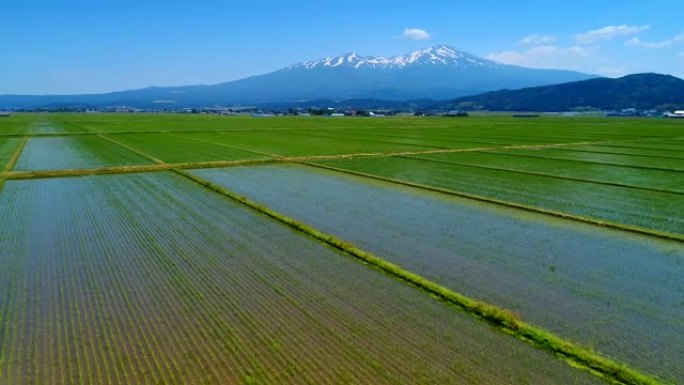 乡村风光