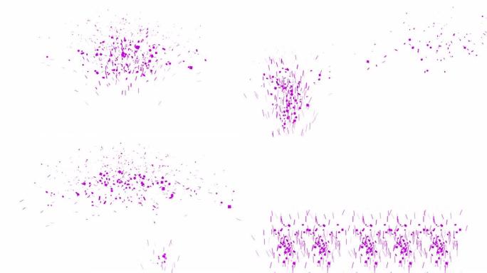 白色背景上的紫色五彩纸屑波普尔爆炸。派对和庆典概念，4K。