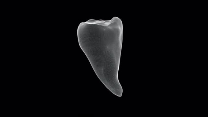 人体牙齿的全息表示屏幕3d-环