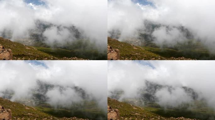 薄雾云雾笼罩的巴莱山景观