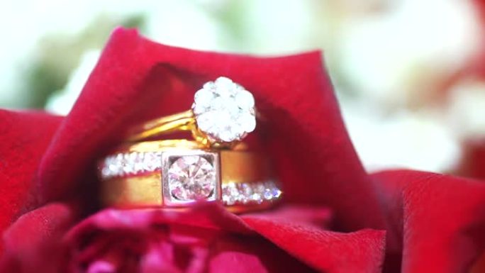 背景模糊的红玫瑰结婚戒指的宏观照片。