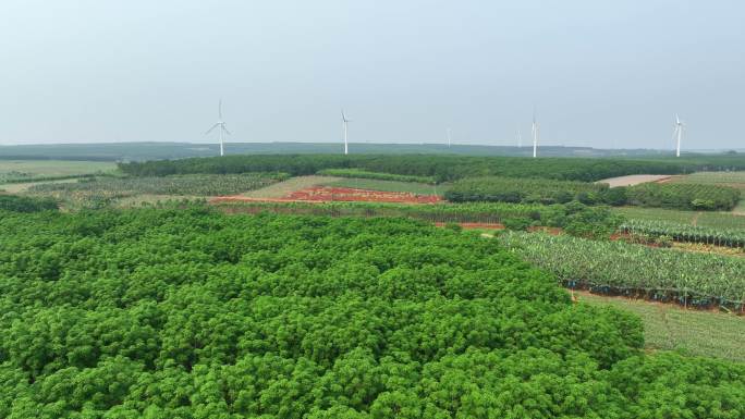 航拍 广东湛江徐闻县农业风力发电场