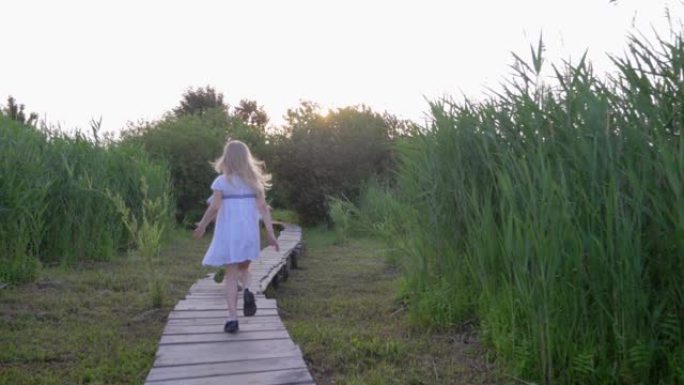 活跃的孩子女孩和男孩在绿色芦苇中追赶并在自然的木桥上奔跑