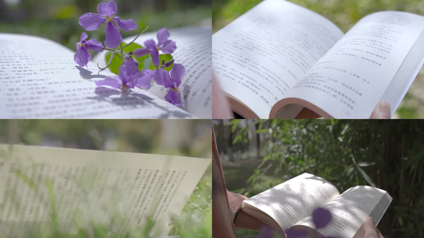 4K户外春季读书看书阅读 意境视频