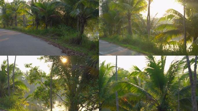 日落时拍摄了一条美丽的热带道路，棕榈树和树后的湖泊。在热带地区旅行。假日概念