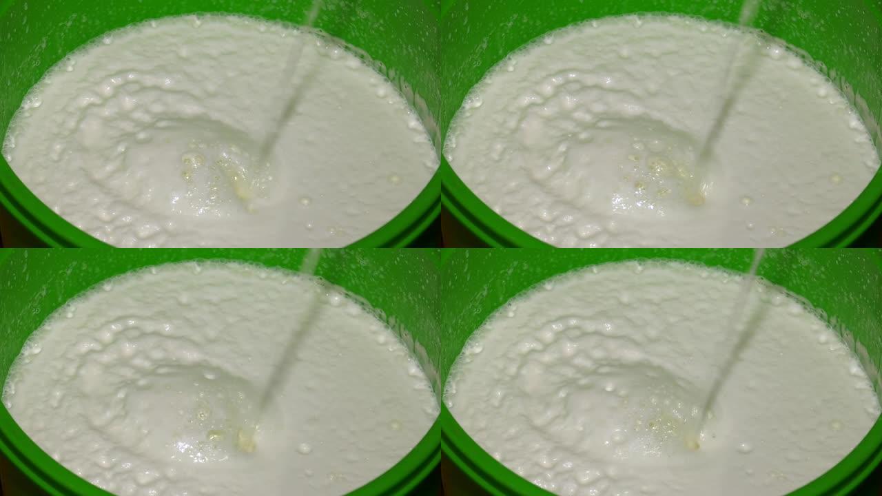 牛奶正在倒入绿色桶中。牛奶从黄色的管子中流成细流。自制黄油的生产。