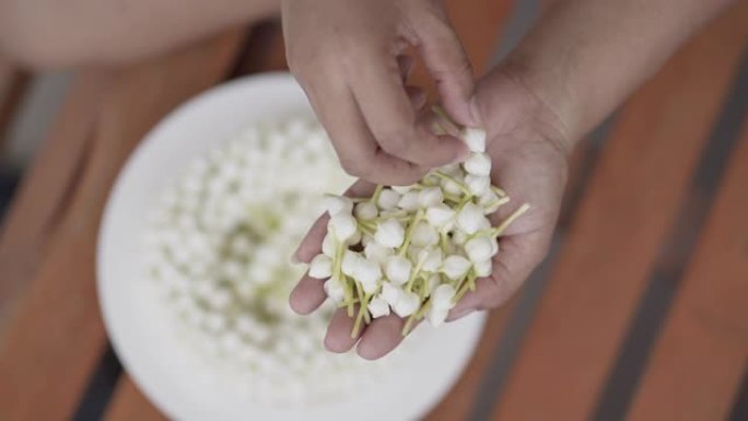 年轻女子的手正在为花环采摘白色的栀子花。