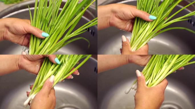 女人的手在厨房水槽里洗新鲜葱的特写镜头。