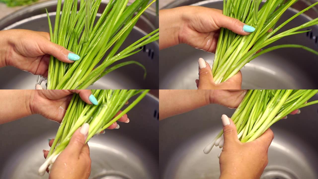 女人的手在厨房水槽里洗新鲜葱的特写镜头。