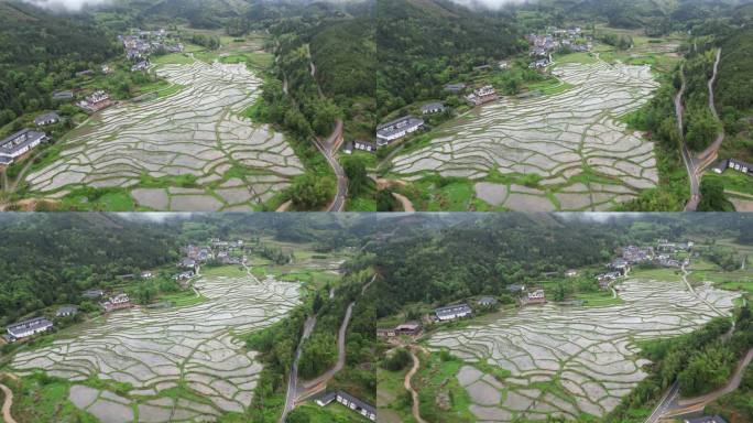 美丽乡村 宁静小村庄 春耕时节春分