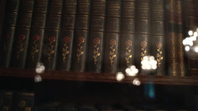 在富丽堂皇的旧图书馆案中平移古董书籍