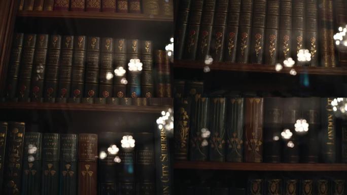 在富丽堂皇的旧图书馆案中平移古董书籍