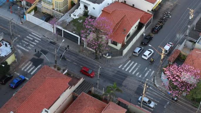 警车缓慢驶过。街道之间交叉路口的俯视图。巴西圣保罗市。