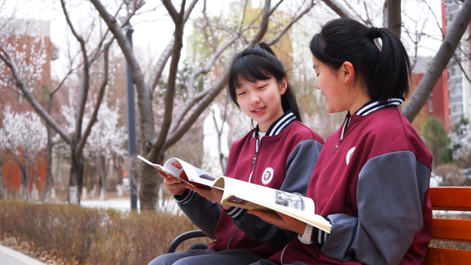 学生长椅上看书交谈