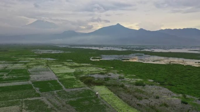 爪哇默拉皮火山附近稻田的风景鸟瞰图