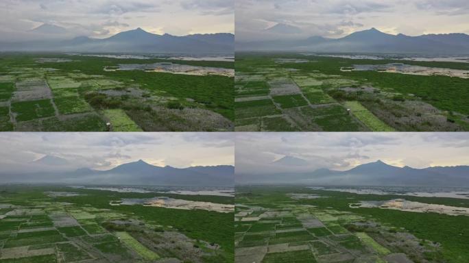 爪哇默拉皮火山附近稻田的风景鸟瞰图