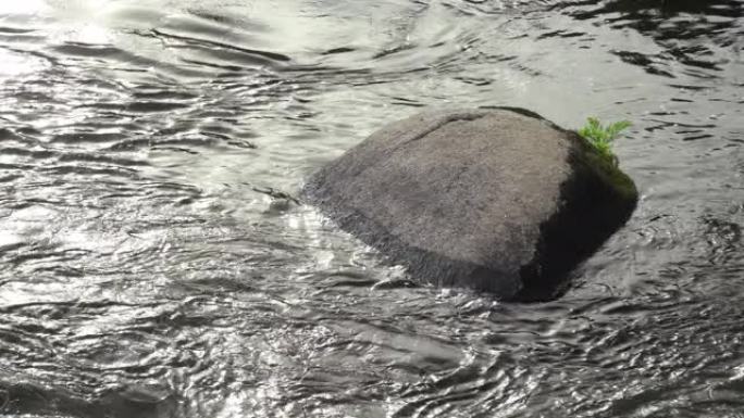 河里的大石头