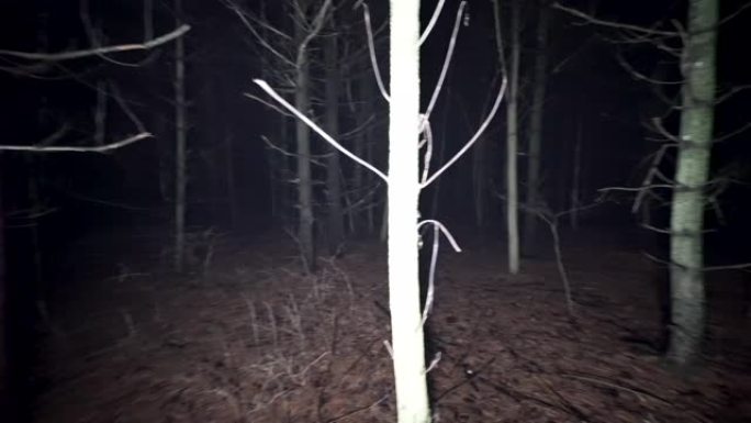 晚上在可怕的树林里吓坏了。
