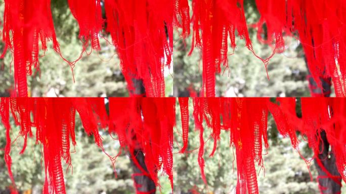 树上挂着许多红丝带，祈求平安幸福。