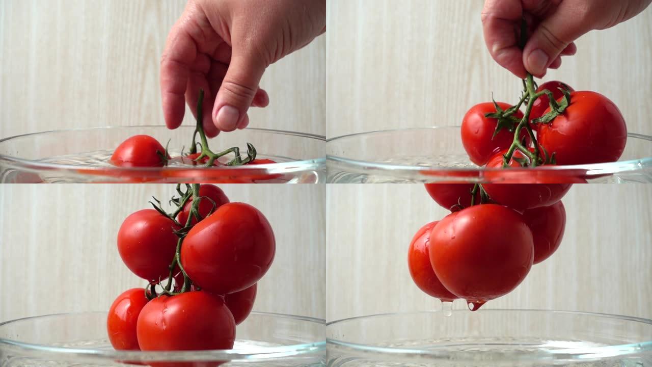 厨师从带水的碗里拿西红柿。慢动作。