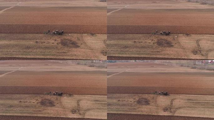 阿米什农场工人在春季用4匹马和3只狗收割田地的鸟瞰图