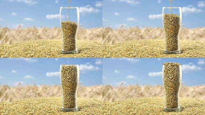 大麦麦芽，用于制作深色和浅色精酿啤酒或威士忌。啤酒酿造商或单一麦芽的有机和天然麦芽