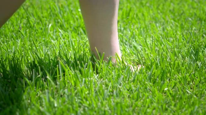 女人赤脚在草地上慢动作180fps
