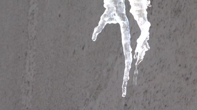 从冰柱上滴下来的水。冬天拍摄。