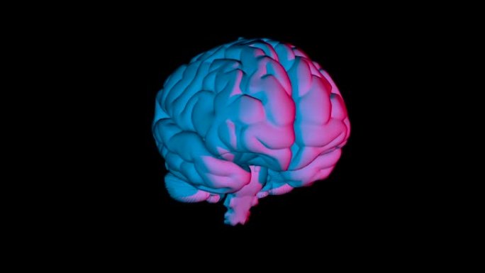 人类大脑的循环旋转计算机模型。带阿尔法通道的动画