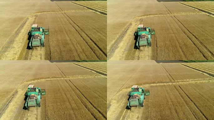 空中无人机镜头。联合收割机之后收集小麦。收割粮田。