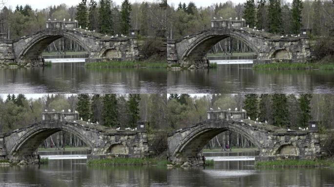 古石上的海鸥被摧毁到湖上的桥上，加特奇纳俄罗斯公园