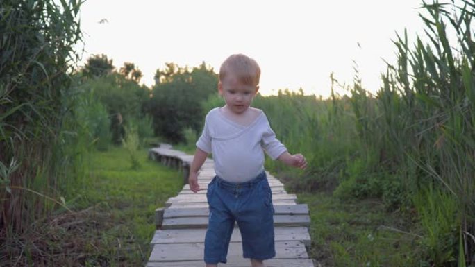 快乐的童年，可爱的男婴赤脚走在木桥上，在户外的高芦苇中