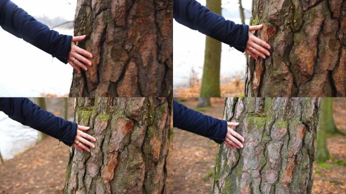 女性手放在树干上跟随镜头慢动作
