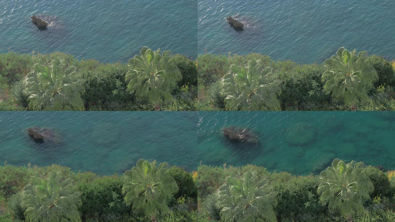 用偏振器拍摄海岸上的海和石头水下绿色棕榈树