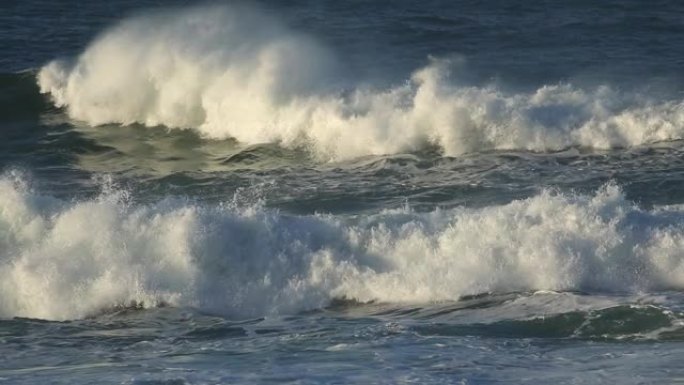 沿海大浪和带有强风的喷水