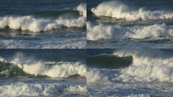 沿海大浪和带有强风的喷水