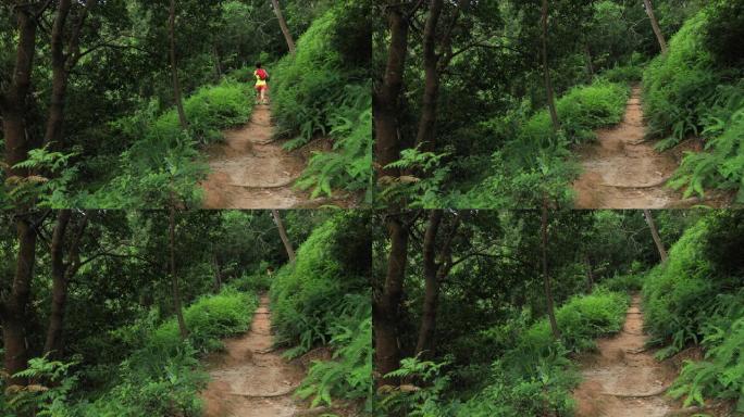 女子超级马拉松赛跑者在热带雨林4k
