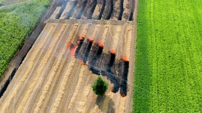 农民焚烧植被残余物的斜坡，从而降低土壤肥力和环境退化