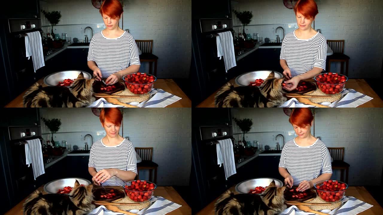 年轻女子切新鲜成熟的草莓制作果酱，小猫缅因浣熊看她的作品