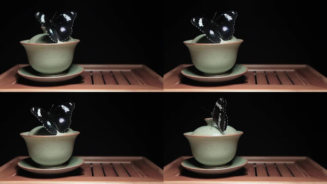 茶杯蝴蝶竹桌深色背景高清镜头