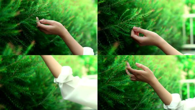 女性用快乐触摸树灌木的手